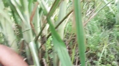 Karumbu thopululla tamil village aunty boobs mms sex movie